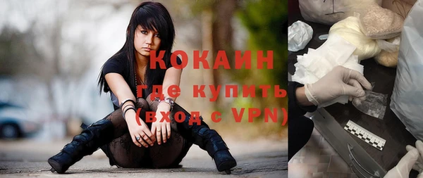 стафф Корсаков