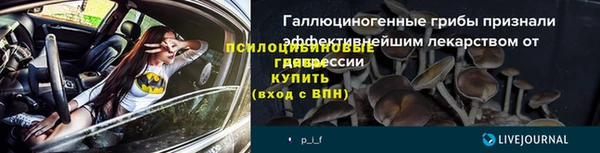 стафф Корсаков