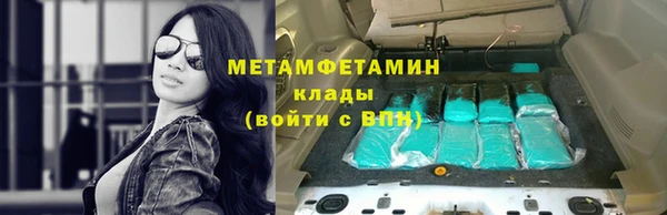 ГАЛЛЮЦИНОГЕННЫЕ ГРИБЫ Костерёво