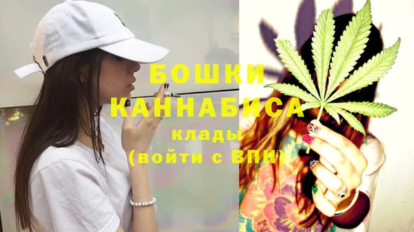 стафф Корсаков