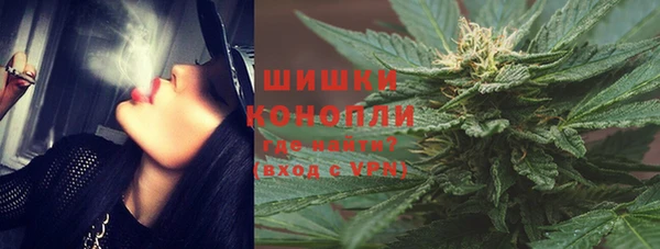 ГАЛЛЮЦИНОГЕННЫЕ ГРИБЫ Костерёво
